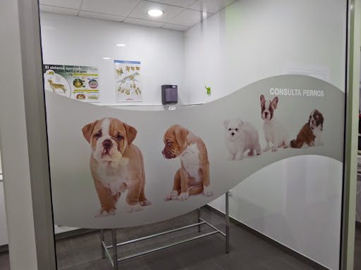 Clínica Veterinaria Davavet en Valencia