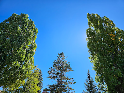 Big Bear Visitor Center - Visit Big Bear image