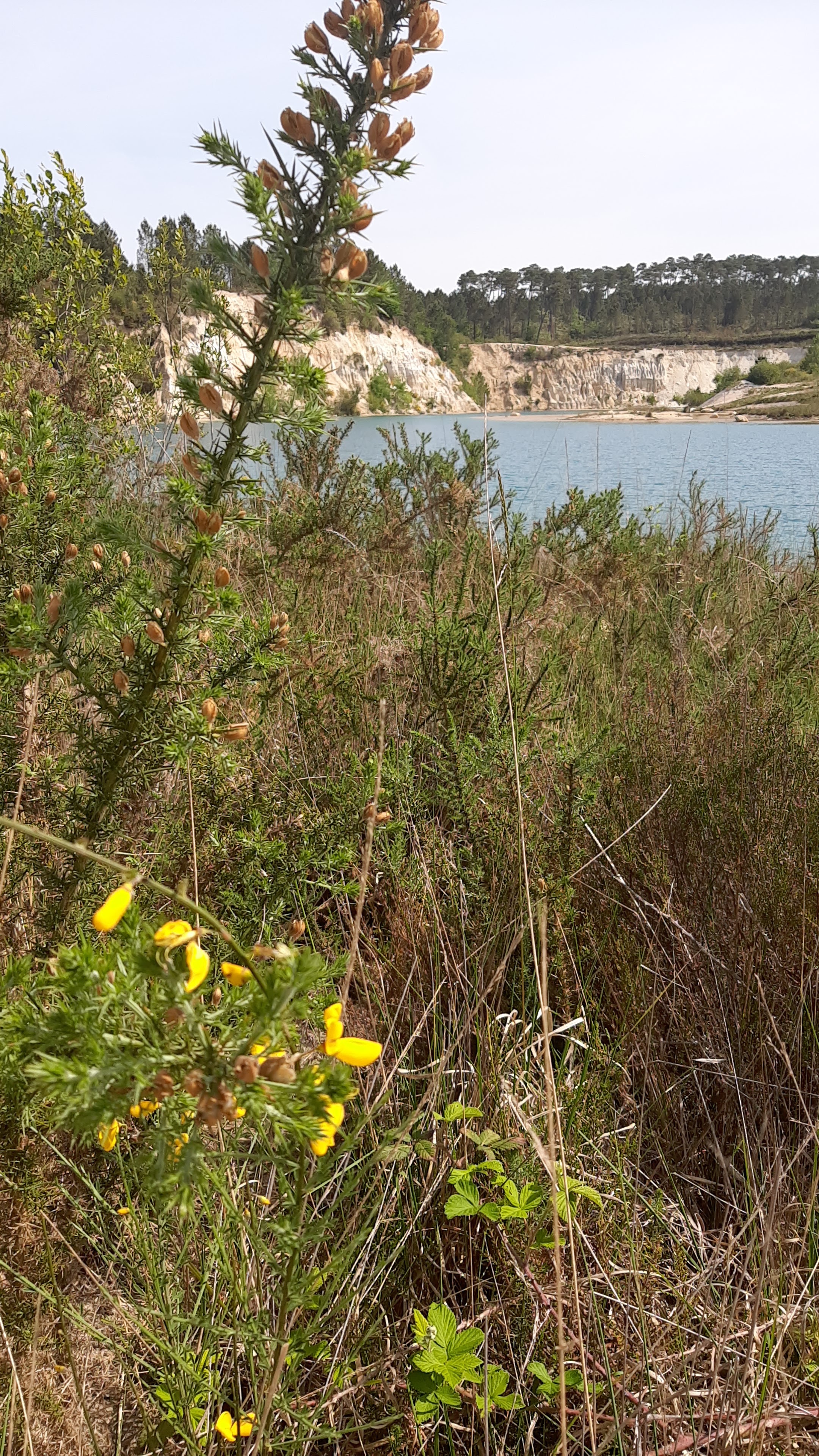 Photo n° 4 de l'avis de Emilie.a fait le 15/05/2022 à 16:12