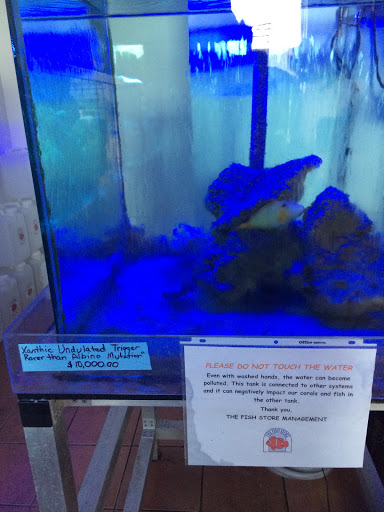 Tropical Fish Store «The Fish Store», reviews and photos, 2050 Chamblee Tucker Rd, Chamblee, GA 30341, USA