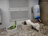 Petco - Car repair in Hendersonville, NC, Asheville - Rated 4.2/5