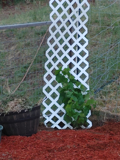 Home Improvement Store «The Home Depot», reviews and photos, 1801 E Custer Ave, Helena, MT 59602, USA