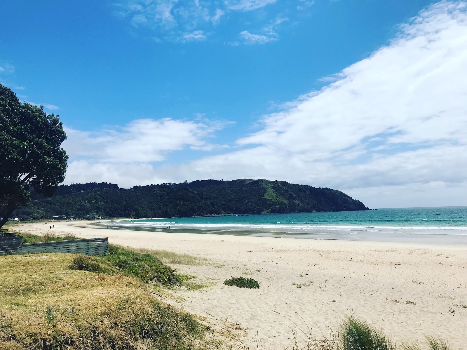 Foto av Taupo Bay Beach och bosättningen