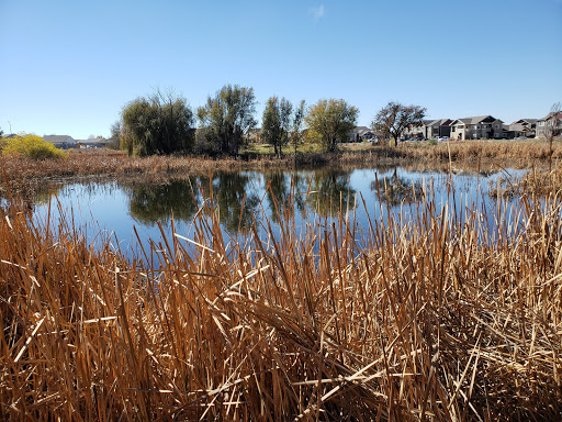 Nature Preserve «Gateway Lakes Natural Area», reviews and photos, 28th Street, Greeley, CO 80634, USA