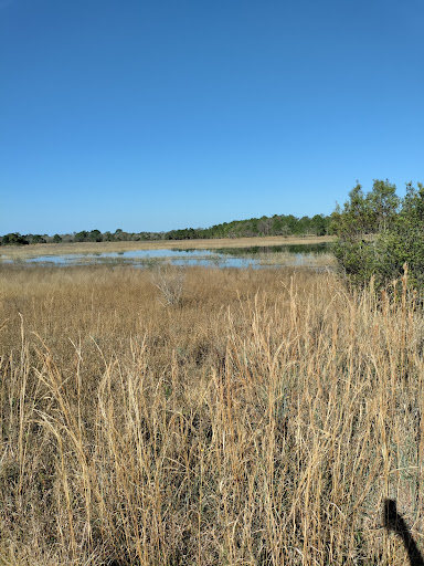 Nature Preserve «Conner Preserve», reviews and photos, 22500 FL-52, Land O Lakes, FL 34637, USA