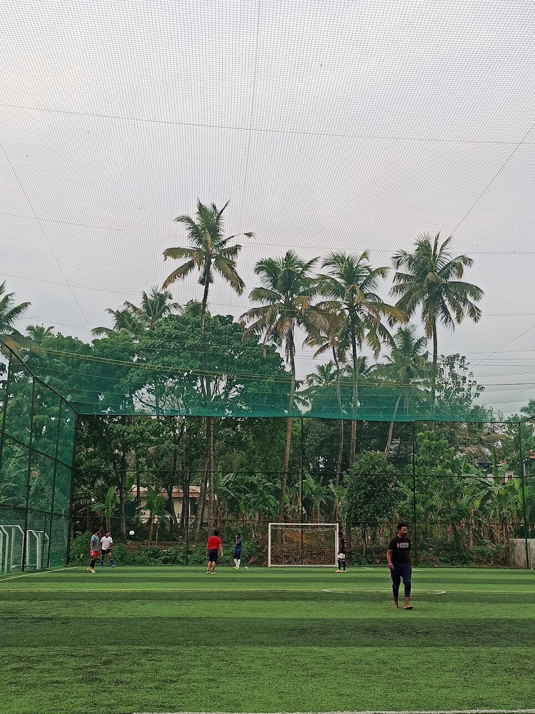 Pes fields