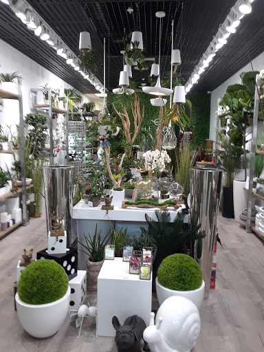 Shopping Mall «Coral Ridge Mall», reviews and photos, 3200 N Federal Hwy, Fort Lauderdale, FL 33306, USA