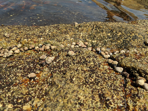 Hiking Area «Black Point Trailhead», reviews and photos, 655 Ocean Rd, Narragansett, RI 02882, USA