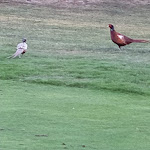 Photo n°1 de l'avis de Salvatore.r fait le 27/01/2021 à 10:05 sur le  Golf Club Villa Carolina à Capriata d'Orba