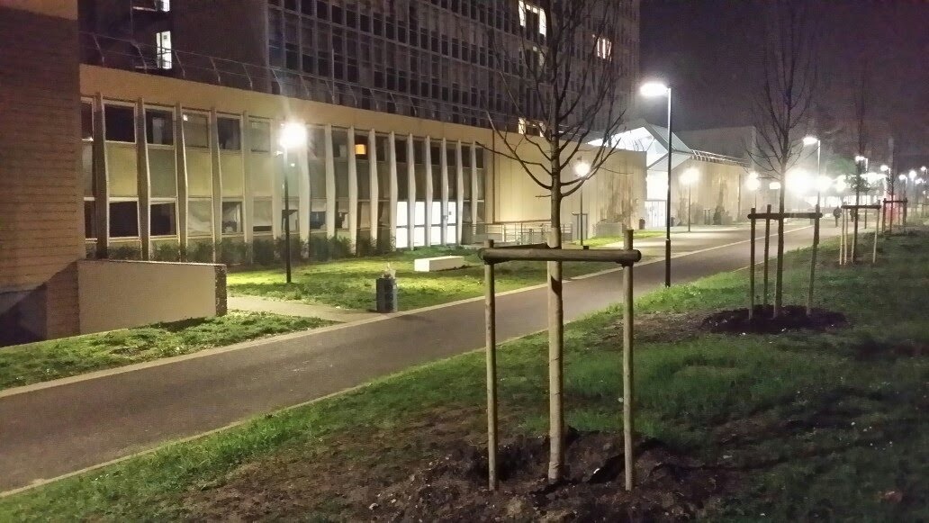 Photo n° 9 de l'avis de sergio.a fait le 24/08/2020 à 16:12