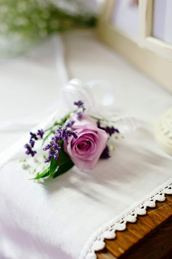 Florist «Belak Flowers», reviews and photos, 832 Philadelphia Pike, Wilmington, DE 19809, USA