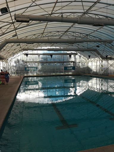 Swimming Pool Municipal Sports Complex Reñaca Alto