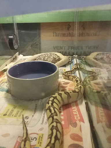 Pet Store «Critter Castle», reviews and photos, 1461 Boiling Springs Rd, Spartanburg, SC 29303, USA