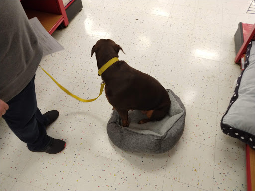 Pet Supply Store «Petco Animal Supplies», reviews and photos, 20111 US-19 #201c, Cranberry Twp, PA 16066, USA