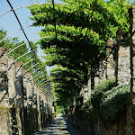 Photo n°11 de l'avis de Enrico.i fait le 24/08/2023 à 13:13 sur le  Cella Grande à Viverone