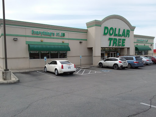 Dollar Store «Dollar Tree», reviews and photos, 8300 W Farm to Market Rd 78, Converse, TX 78109, USA