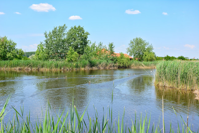 Biharugra, Unnamed Road, 5538 Magyarország