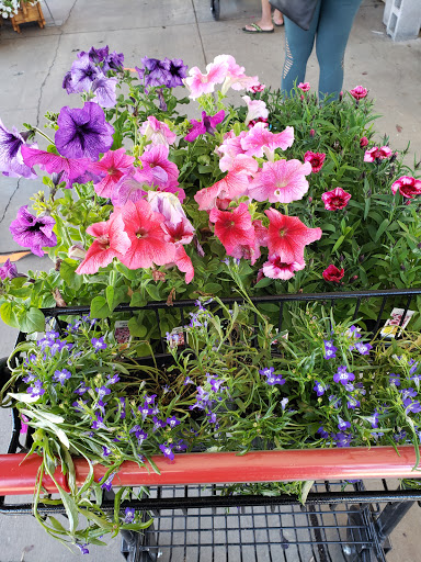 Produce Market «Miller Farms», reviews and photos, 10140 Piscataway Rd, Clinton, MD 20735, USA