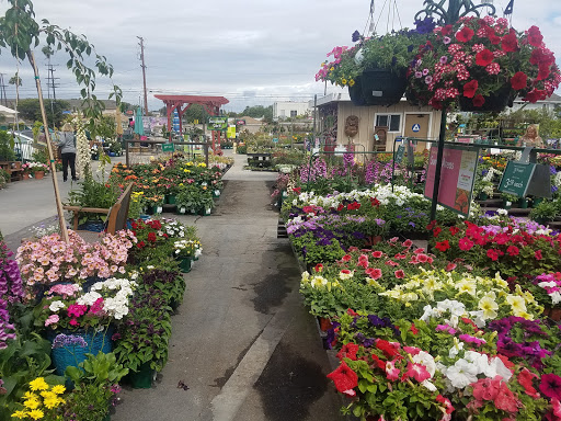 Garden center Downey