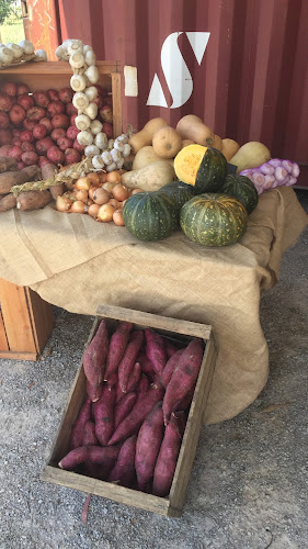 Mercado scaglia