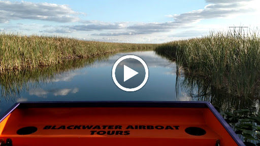 Tourist Attraction «Blackwater Airboat Tours», reviews and photos, US-27, Pompano Beach, FL 33321, USA