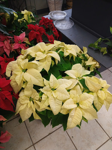 Florist «Grace Harper Florist, Inc.», reviews and photos, 4135 Woodward Ave, Detroit, MI 48201, USA