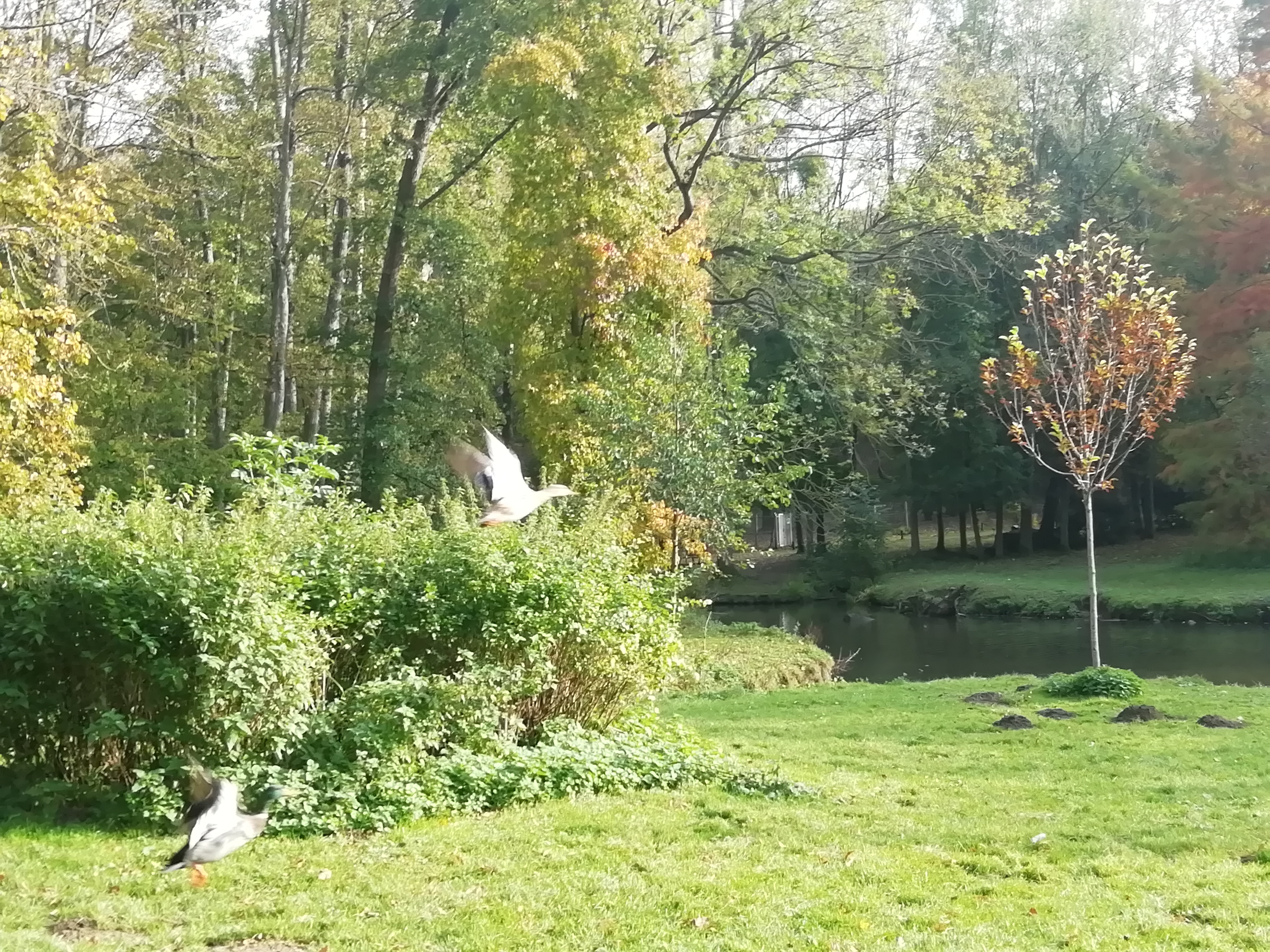 Photo n° 7 de l'avis de Patou.I fait le 23/11/2021 à 08:28