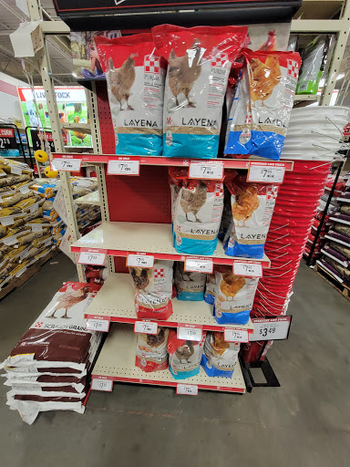 Home Improvement Store «Tractor Supply Co.», reviews and photos, 5940 New Jesup Hwy, Brunswick, GA 31523, USA