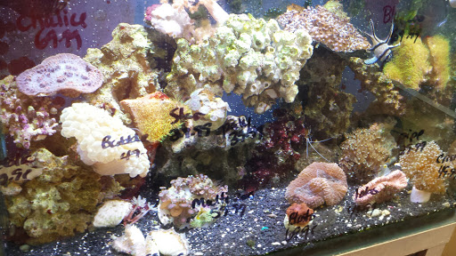 Pet Supply Store «House of Pets Inc», reviews and photos, 29500 Ford Rd, Garden City, MI 48135, USA