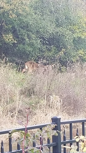 Nature Preserve «McDonald Woods Forest Preserve», reviews and photos, 19611 W Grass Lake Rd, Lake Villa, IL 60046, USA