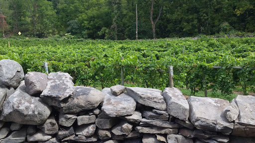 Winery «Glorie Farm Winery», reviews and photos, 40 Mountain Rd, Marlboro, NY 12542, USA