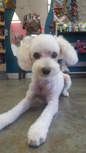 Pet Groomer «Barking Beauties pet Boutique», reviews and photos, 112 E 2nd St S, Newton, IA 50208, USA