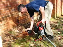 Budget pest control - Car repair in , Cleveland - Rated 4.0/5