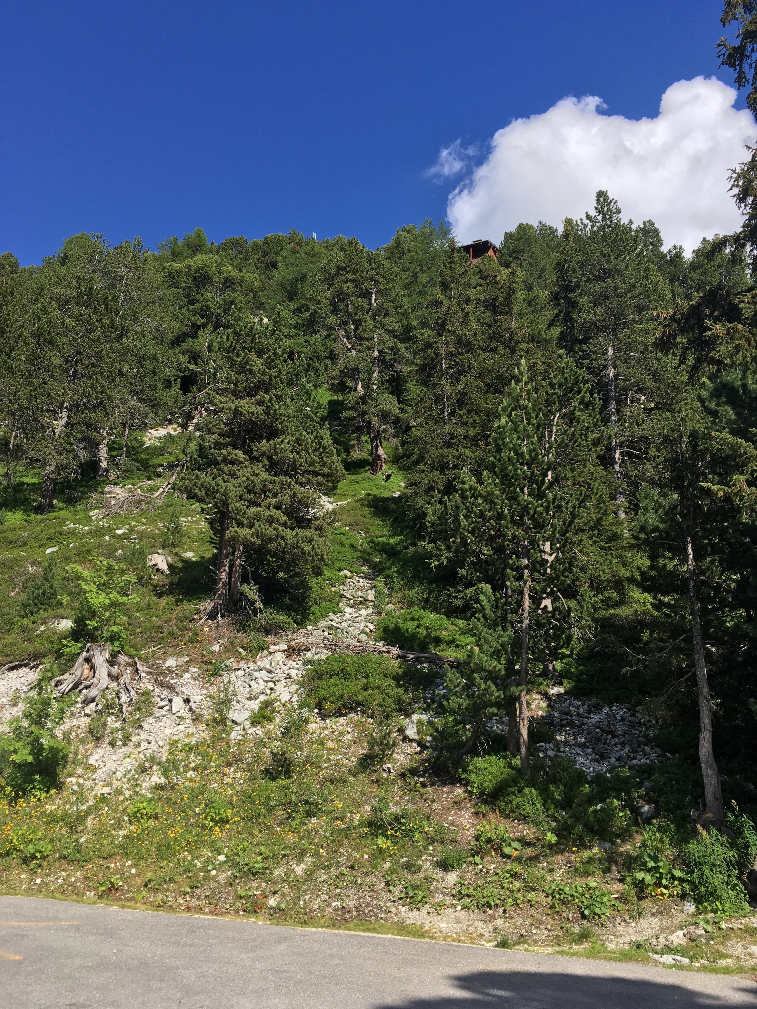 Photo n° 8 de l'avis de jimenez.r fait le 21/03/2019 à 10:38