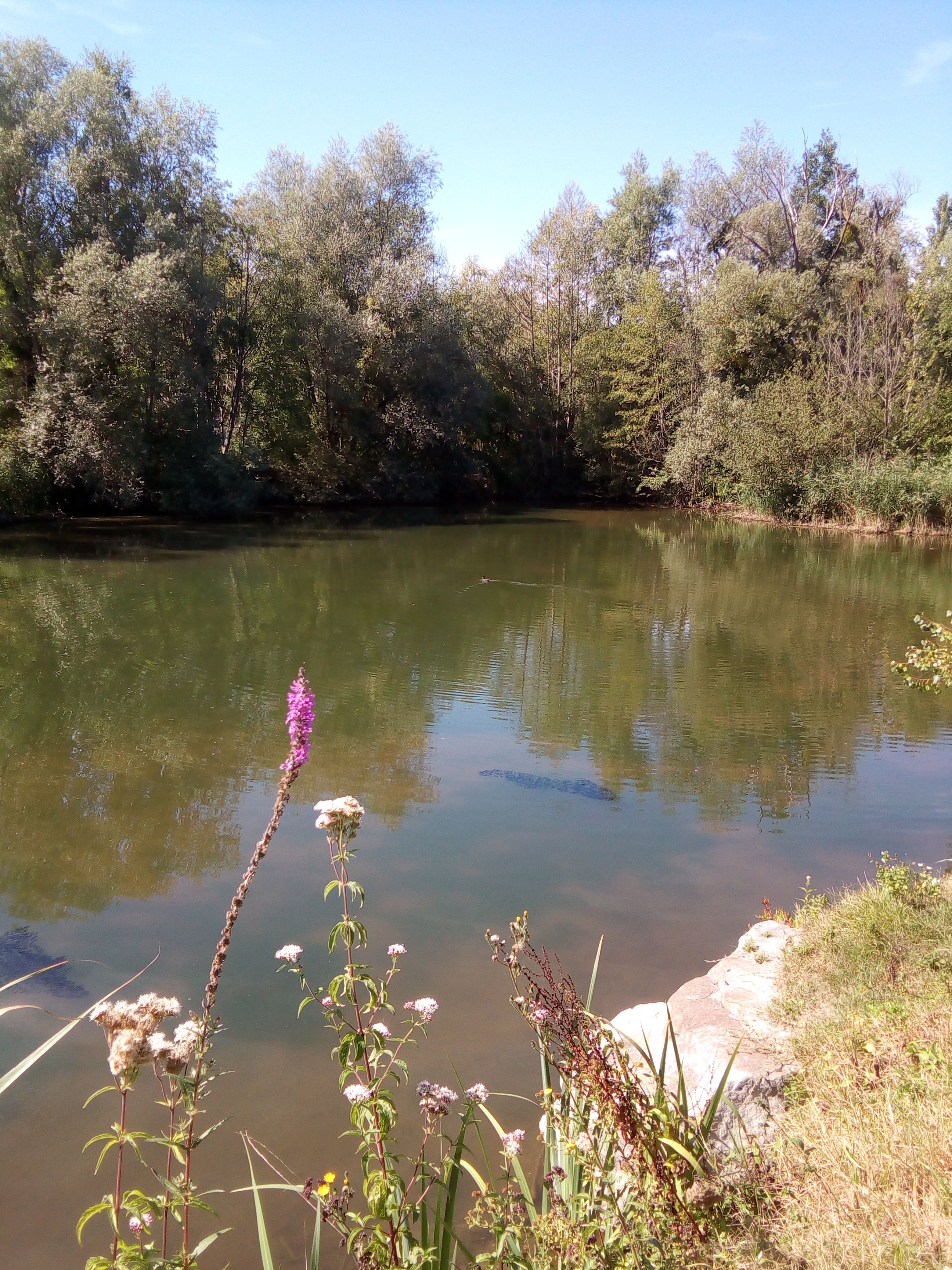 Photo n° 12 de l'avis de Angy.u fait le 30/08/2019 à 15:26
