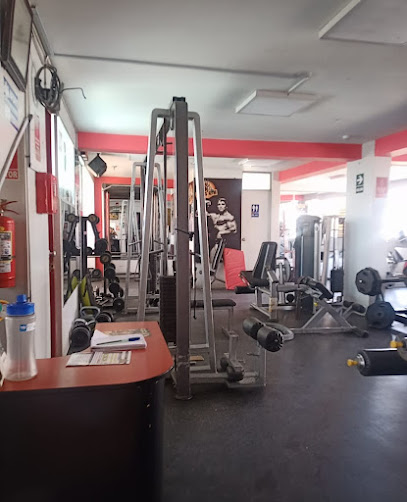 Lion,s Gym - Av Union 510, Miraflores 04001, Peru