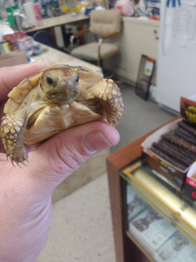 Pet Supply Store «Pet Den», reviews and photos, 1209 Nederland Ave, Nederland, TX 77627, USA