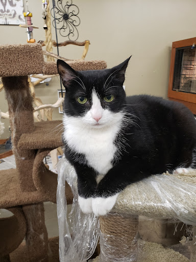 Pet Store «Just Pets», reviews and photos, 393 NY-5, Irving, NY 14081, USA