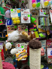 Pet Ark Harlem - Photo 4 - Car repair in New York, NY, Queens