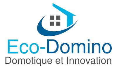 Eco-Domino à Lyon