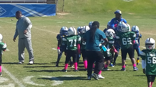 Stadium «Memorial Stadium», reviews and photos, N 17th St, Baton Rouge, LA 70802, USA