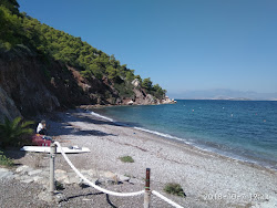 Foto di Alkioni beach ubicato in zona naturale