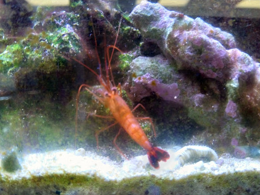 Pet Supply Store «Atlas Pet Supply», reviews and photos, 1798 Market Dr, Stillwater, MN 55082, USA