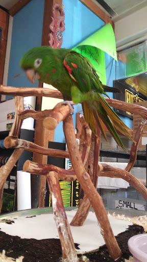 Pet Supply Store «Pet Bazaar», reviews and photos, 490 FL-436, Casselberry, FL 32707, USA