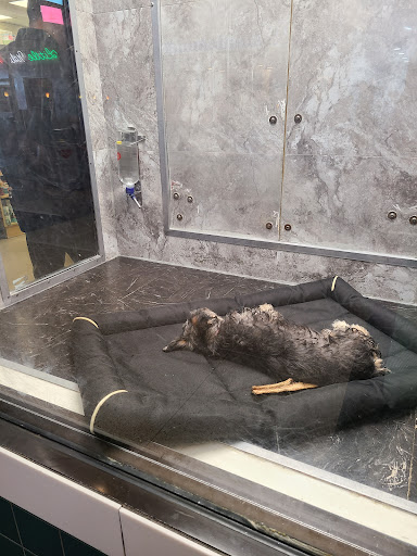 Pet Supply Store «Your Pet Experts», reviews and photos, 1665 State Hill Rd #490, Wyomissing, PA 19610, USA