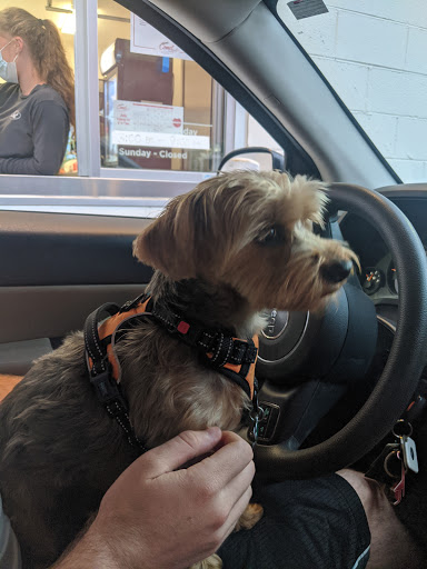 Dessert Shop «Comet Frozen Custard & Coffee», reviews and photos, 3001 Kirchoff Rd, Rolling Meadows, IL 60008, USA