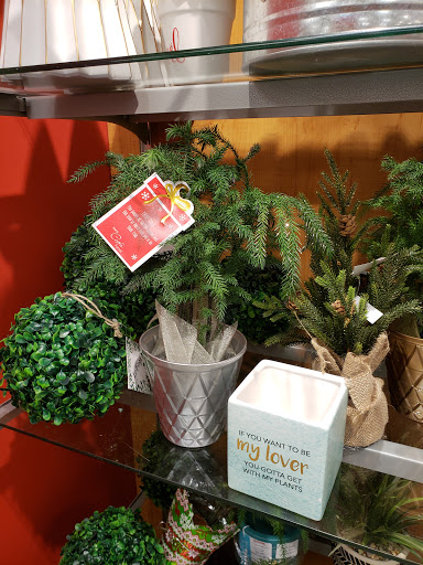 Department Store «T.J. Maxx», reviews and photos, 3111 111th St, Naperville, IL 60540, USA