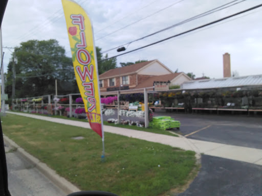 Florist «Bella Flowers & Greenhouse, Inc.», reviews and photos, 7117 Roberts Rd, Bridgeview, IL 60455, USA