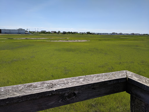 Park «Albert I. Allen Memorial Park», reviews and photos, 2200 Delware Ave, North Wildwood, NJ 08260, USA