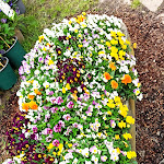 Photo n°6 de l'avis de KartOpa51. fait le 26/04/2024 à 15:17 sur le  Gut Kump Gastronomie und Hotel à Hamm